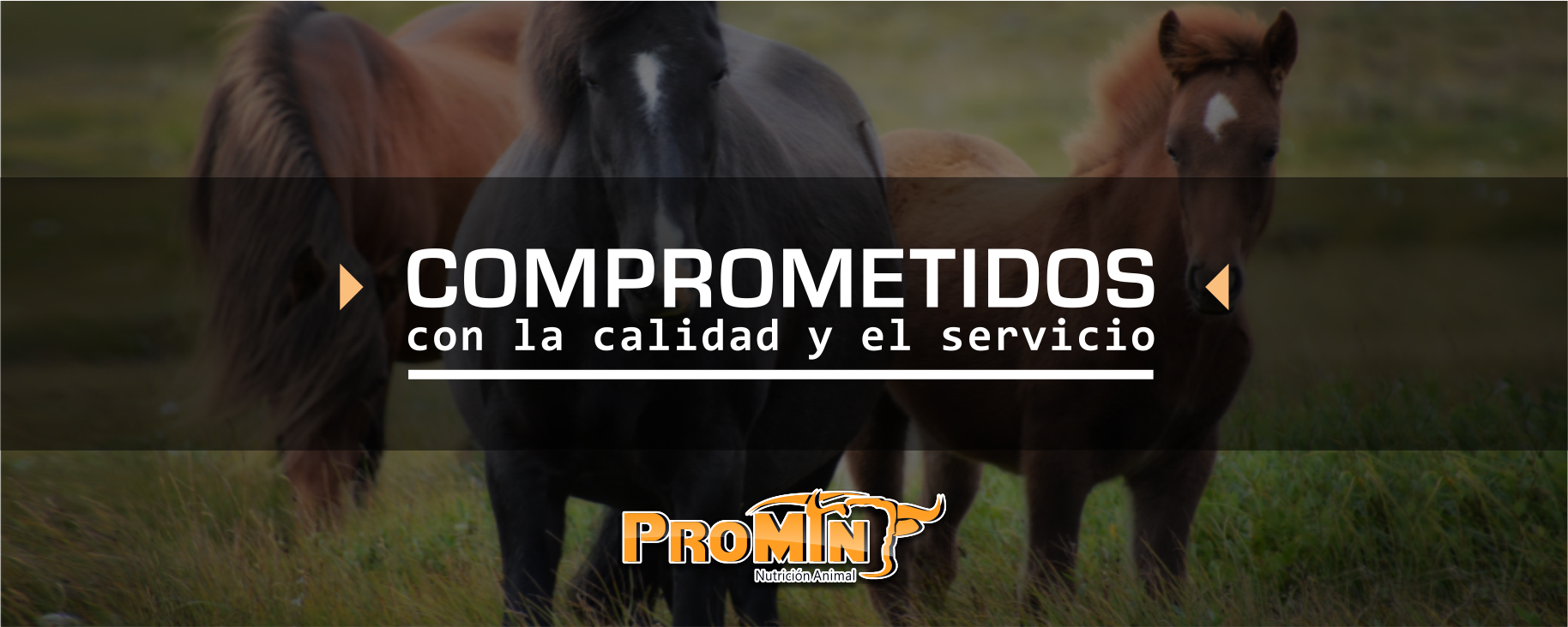Promin Nutricion Animal, ganado lechero, porcino, caprino, ganado de engorda, ovinos, secuestrantes, bovino, equino, aditivos