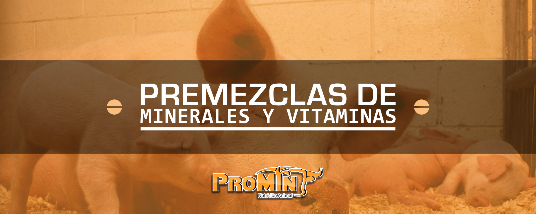 Promin Nutricion Animal, ganado lechero, porcino, caprino, ganado de engorda, ovinos, secuestrantes, bovino, equino, aditivos