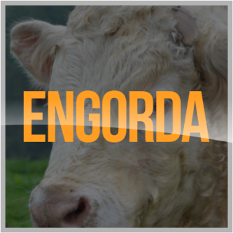 Promin Nutricion Animal, ganado lechero, porcino, caprino, ganado de engorda, ovinos, secuestrantes, bovino, equino, aditivos