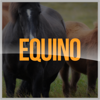 Promin Nutricion Animal, ganado lechero, porcino, caprino, ganado de engorda, ovinos, secuestrantes, bovino, equino, aditivos