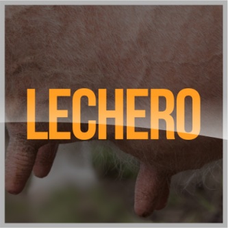 Promin Nutricion Animal, ganado lechero, porcino, caprino, ganado de engorda, ovinos, secuestrantes, bovino, equino, aditivos