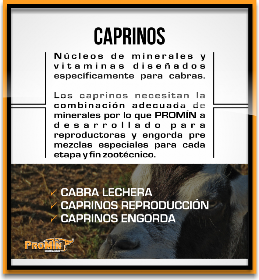 Promin Nutricion Animal, ganado lechero, porcino, caprino, ganado de engorda, ovinos, secuestrantes, bovino, equino, aditivos