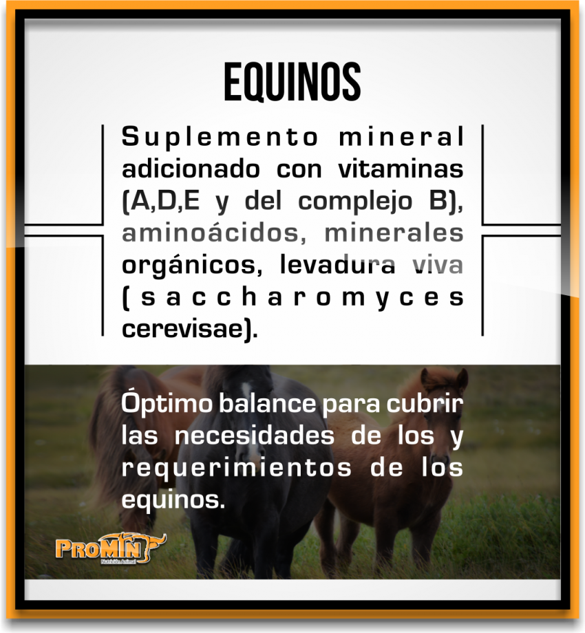 Promin Nutricion Animal, ganado lechero, porcino, caprino, ganado de engorda, ovinos, secuestrantes, bovino, equino, aditivos