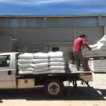 Promin Nutricion Animal, ganado lechero, porcino, caprino, ganado de engorda, ovinos, secuestrantes, bovino, equino, aditivos