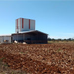 Promin Nutricion Animal, ganado lechero, porcino, caprino, ganado de engorda, ovinos, secuestrantes, bovino, equino, aditivos