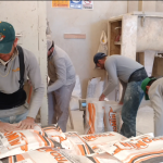 Promin Nutricion Animal, ganado lechero, porcino, caprino, ganado de engorda, ovinos, secuestrantes, bovino, equino, aditivos