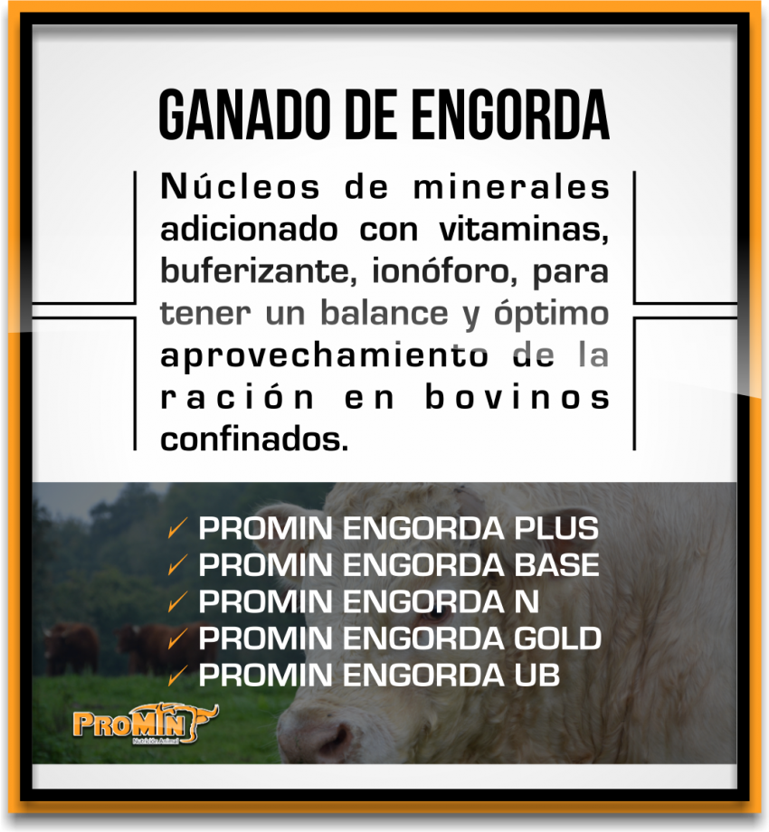 Promin Nutricion Animal, ganado lechero, porcino, caprino, ganado de engorda, ovinos, secuestrantes, bovino, equino, aditivos