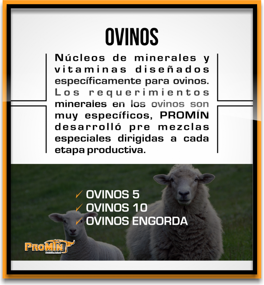 Promin Nutricion Animal, ganado lechero, porcino, caprino, ganado de engorda, ovinos, secuestrantes, bovino, equino, aditivos